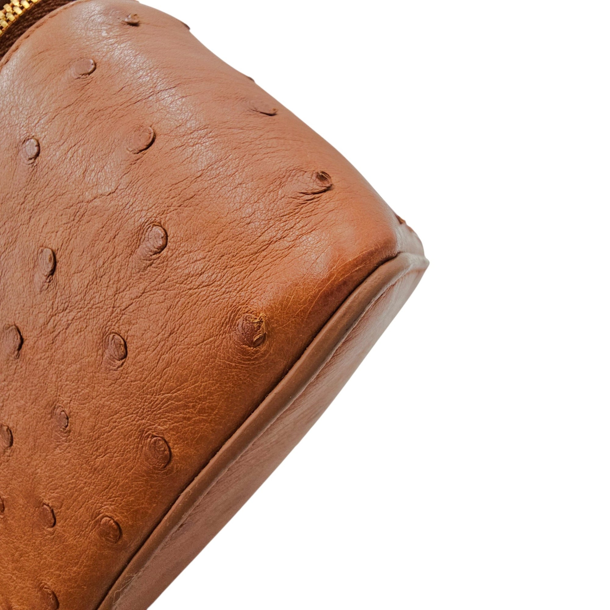 Extra Pocket L19 Brown Crossbody Bag in Ostrich Gold hardware