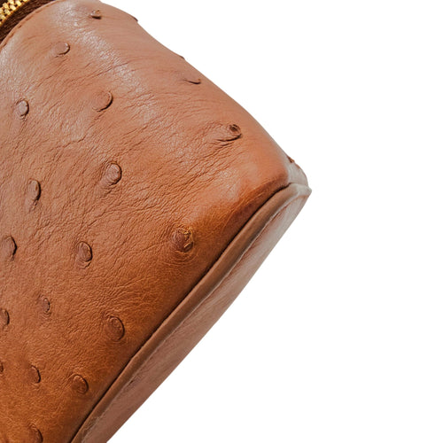 Extra Pocket L19 Brown Crossbody Bag in Ostrich Gold hardware