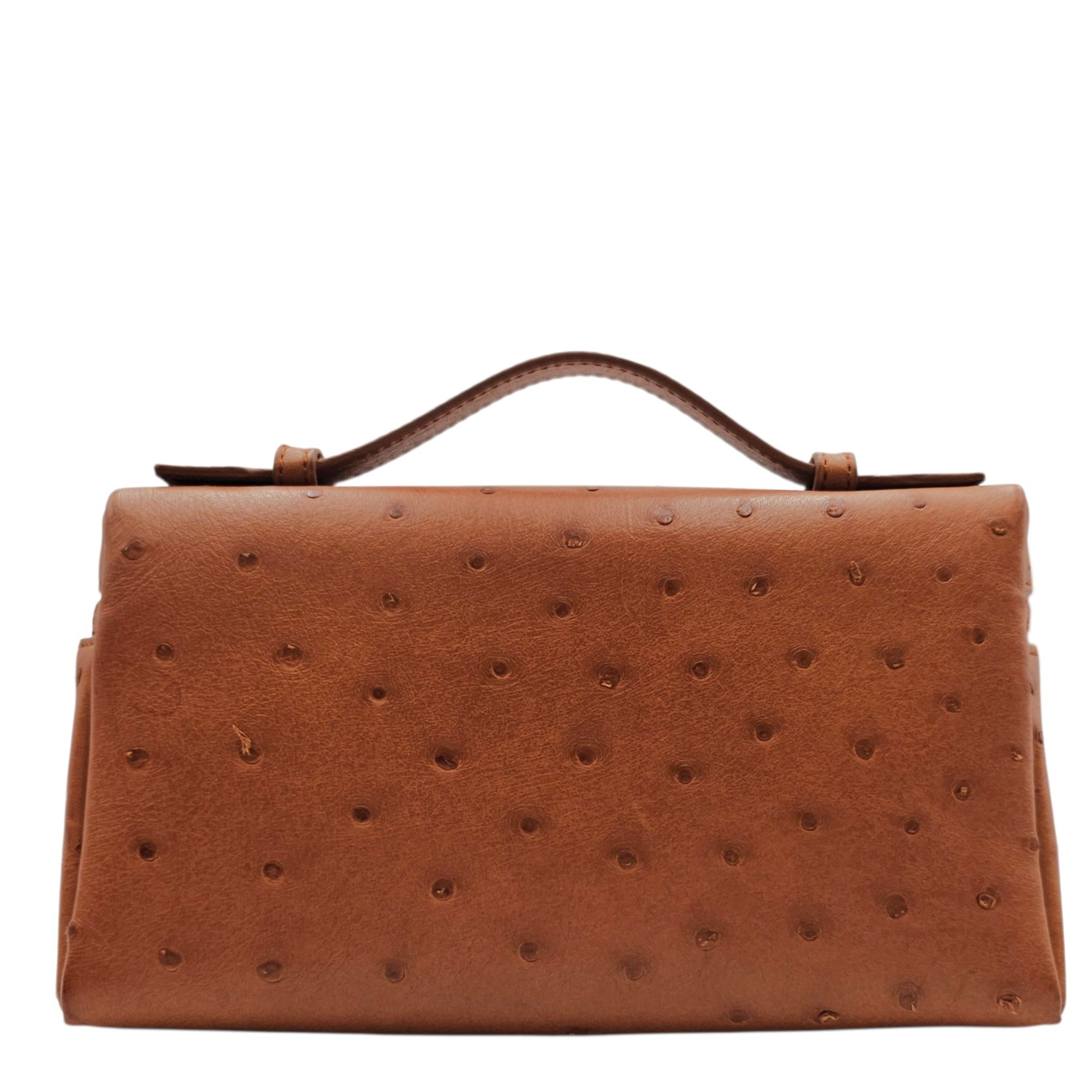 Extra Pocket L19 Brown Crossbody Bag in Ostrich Gold hardware