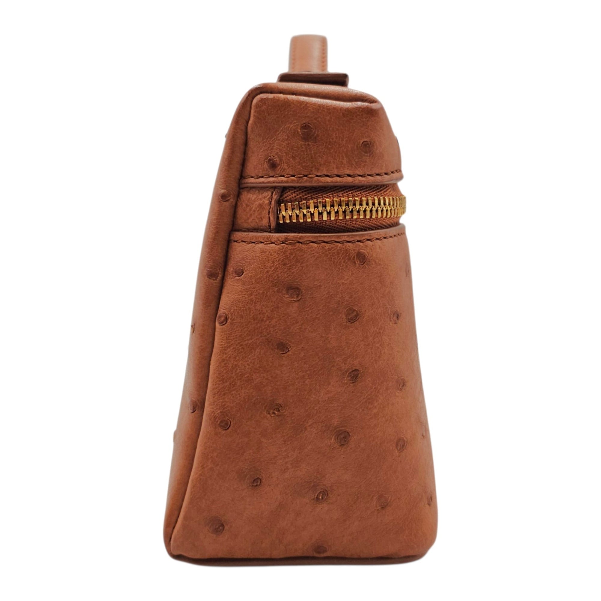 Extra Pocket L19 Brown Crossbody Bag in Ostrich Gold hardware