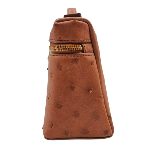 Extra Pocket L19 Brown Crossbody Bag in Ostrich Gold hardware