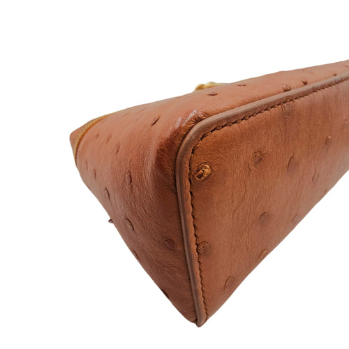 Extra Pocket L19 Brown Crossbody Bag in Ostrich Gold hardware