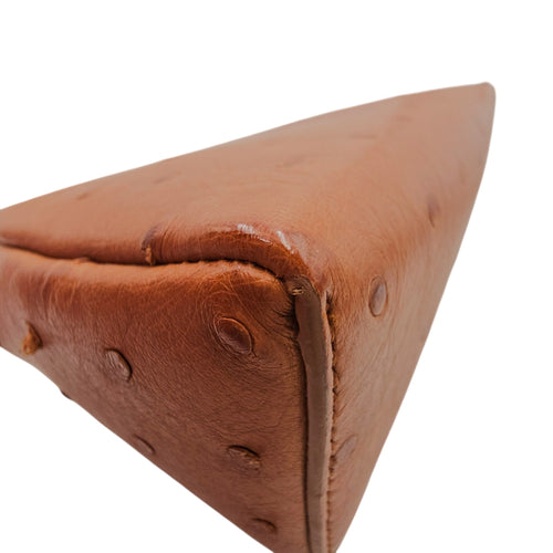 Extra Pocket L19 Brown Crossbody Bag in Ostrich Gold hardware