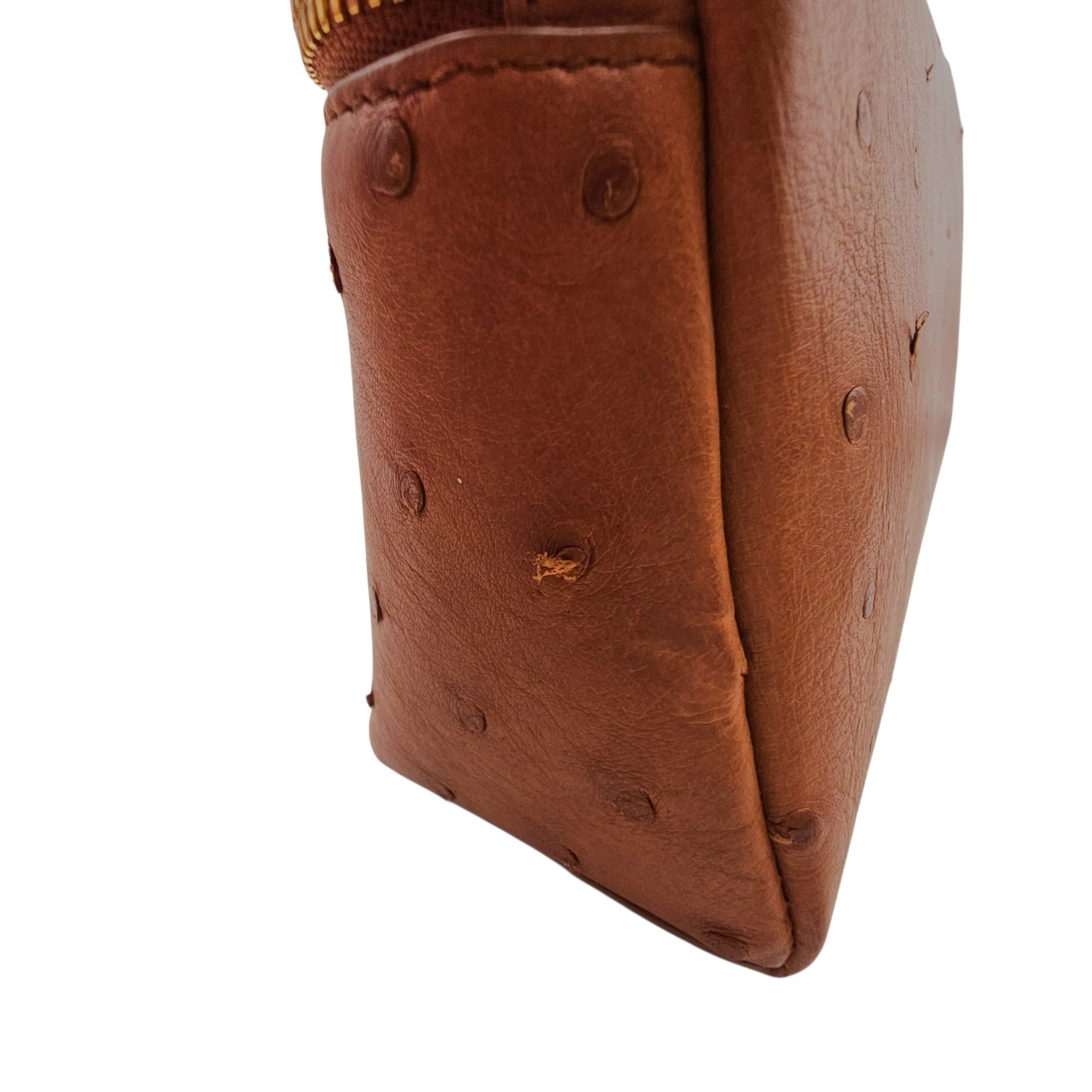 Extra Pocket L19 Brown Crossbody Bag in Ostrich Gold hardware