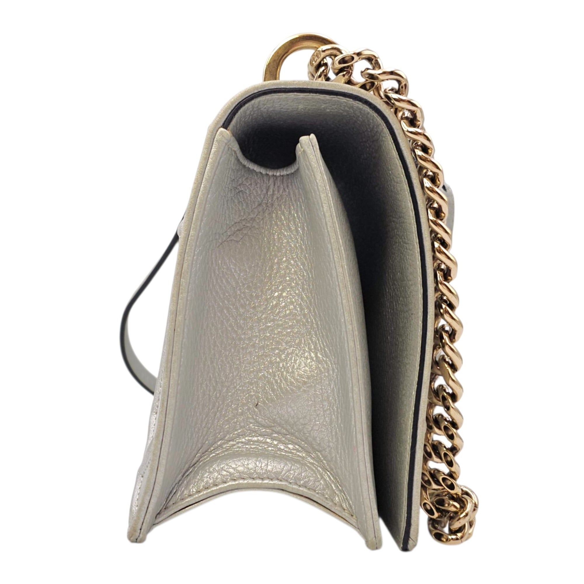 Diorama 24 Silver Shoulder Bag in Calfskin Light Gold hardware