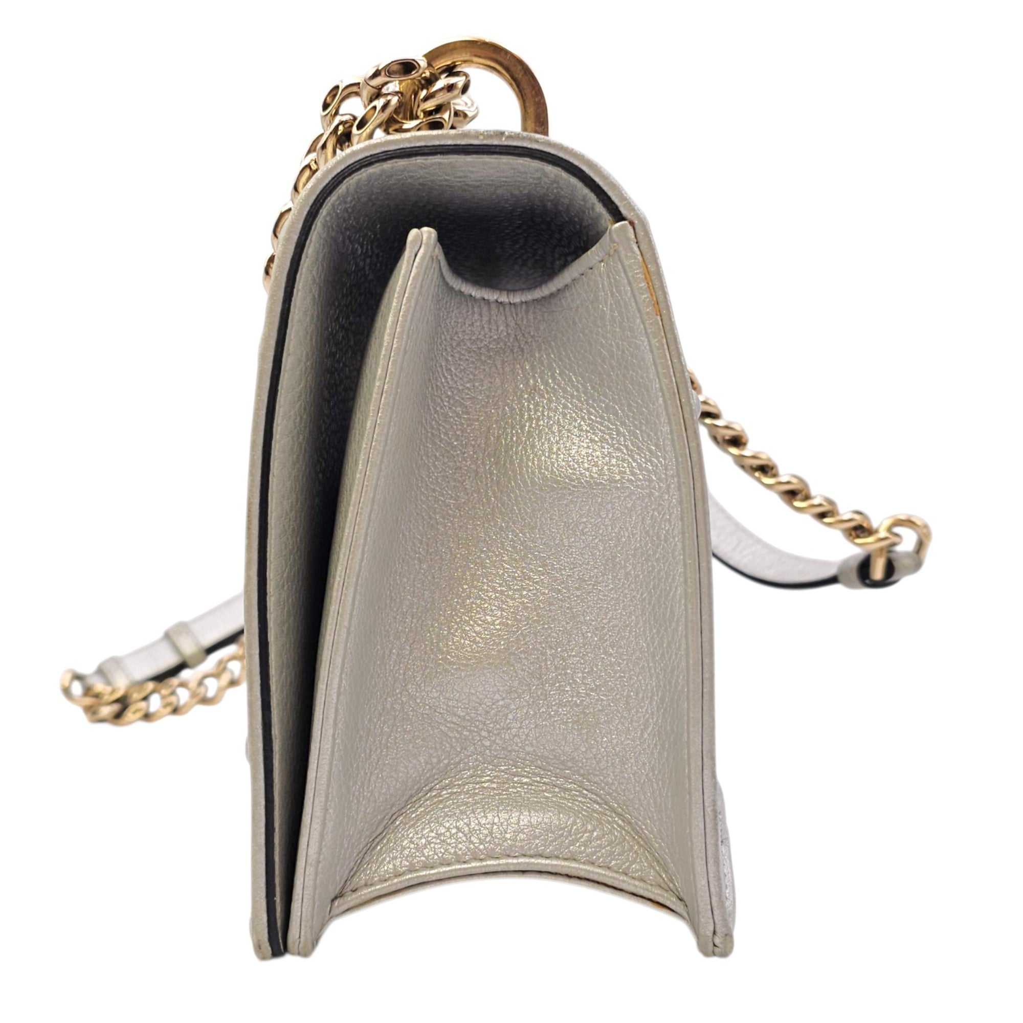 Diorama 24 Silver Shoulder Bag in Calfskin Light Gold hardware