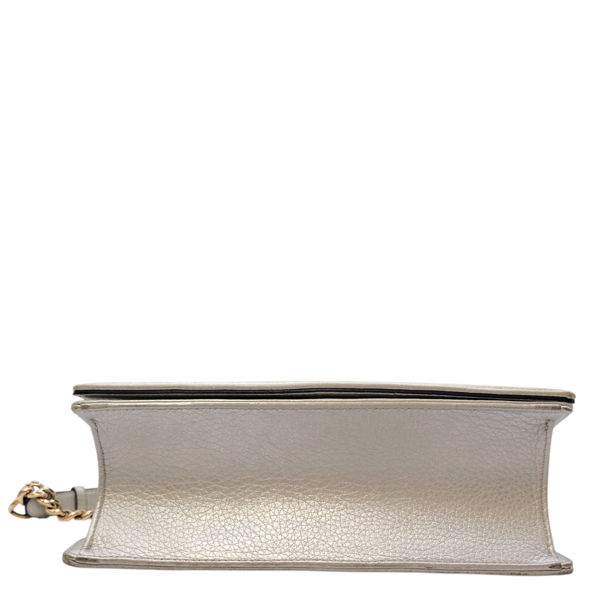 Diorama 24 Silver Shoulder Bag in Calfskin Light Gold hardware