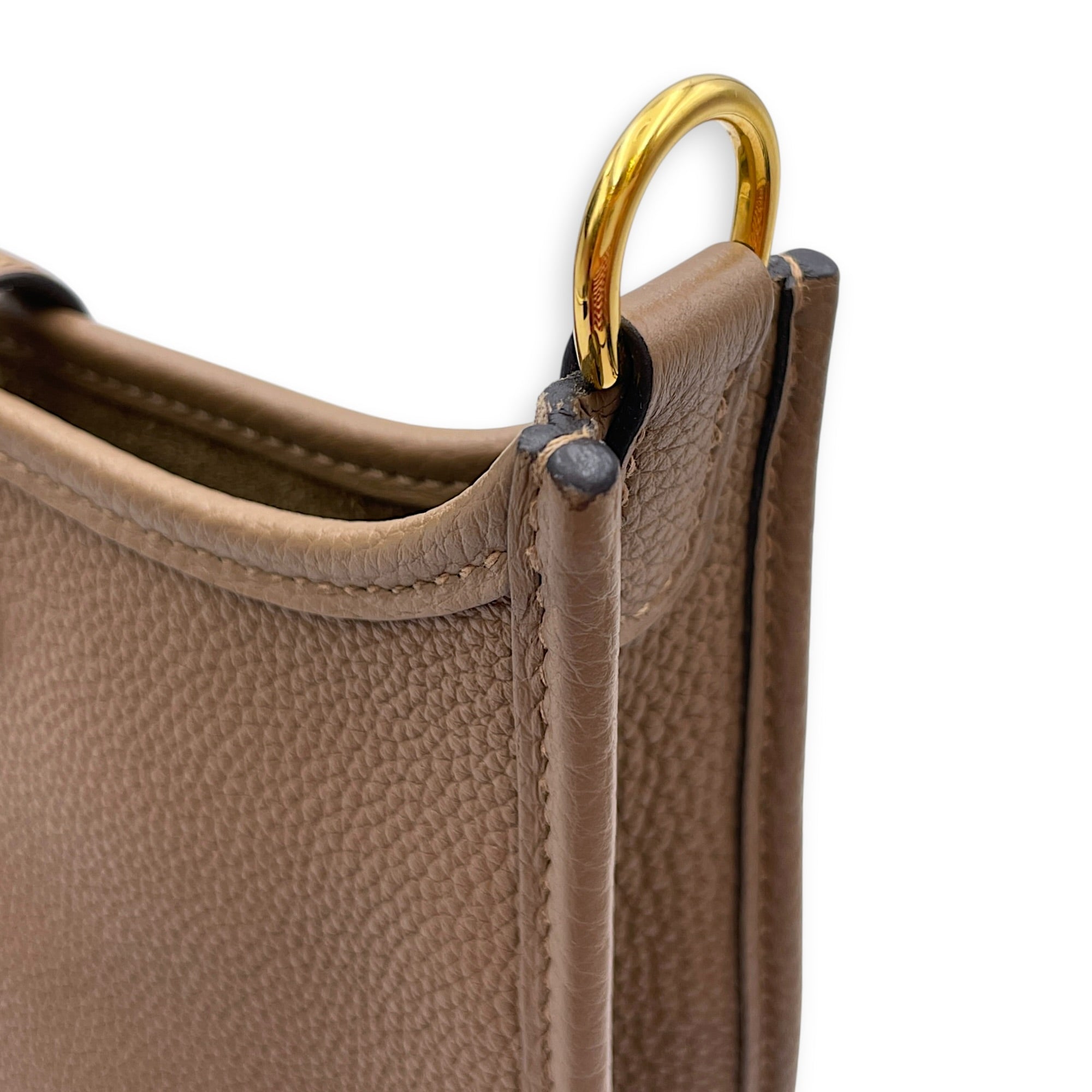 Evelyne Mini Beige Weima/Etoupe in Maurice Gold hardware