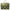 OnTheGo GM Khaki/Kaki Tote Bag in Monogram Coated Canvas Gold hardware
