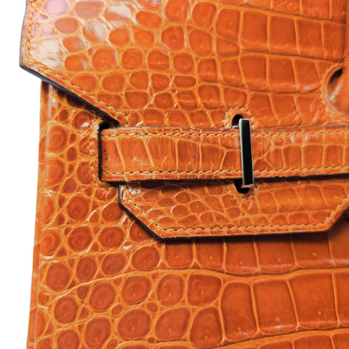 Birkin 35 Orange in Shiny Porosus Palladium hardware