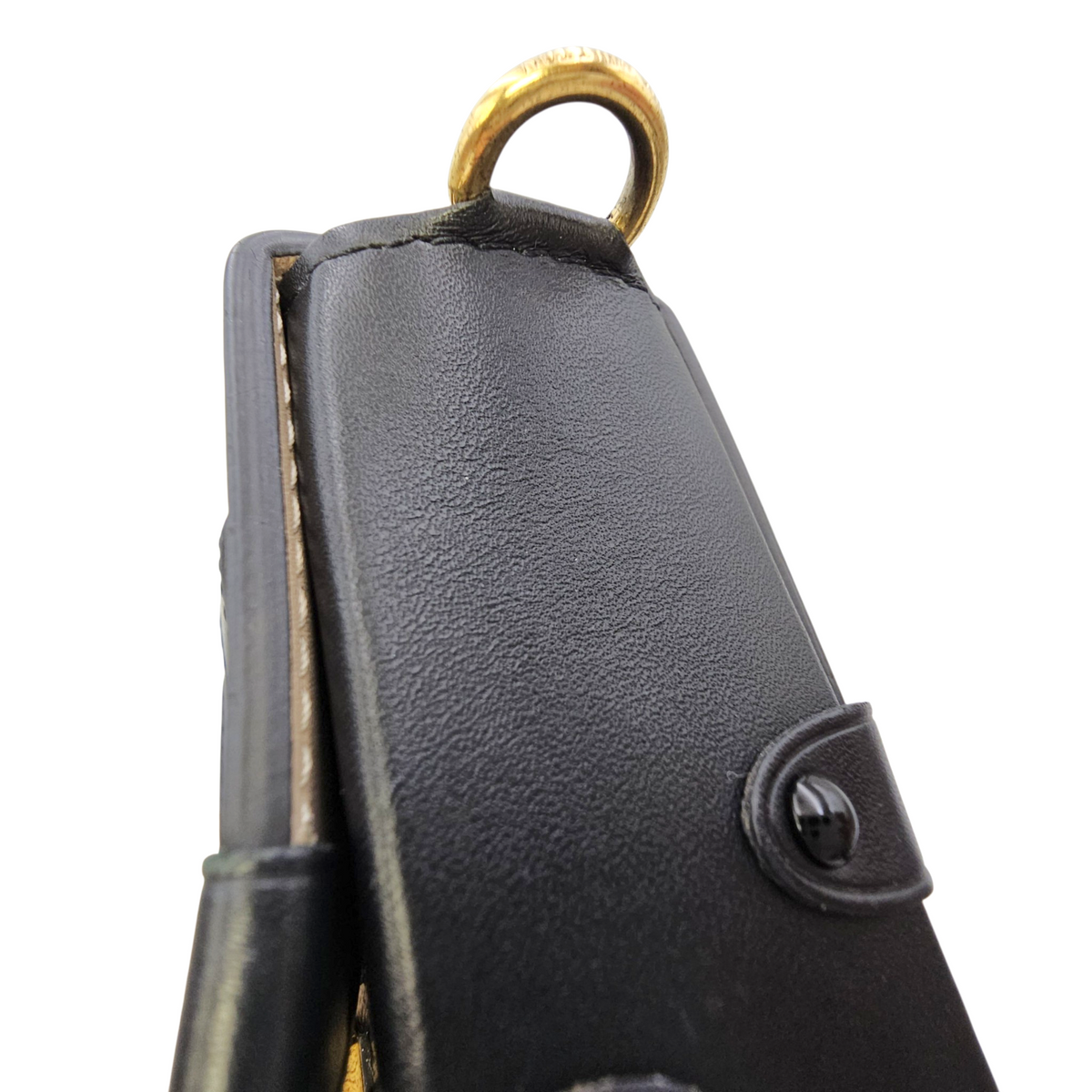 Vertical Trunk  Brown Crossbody Bag in Monogram Coated Canvas Gold hardware