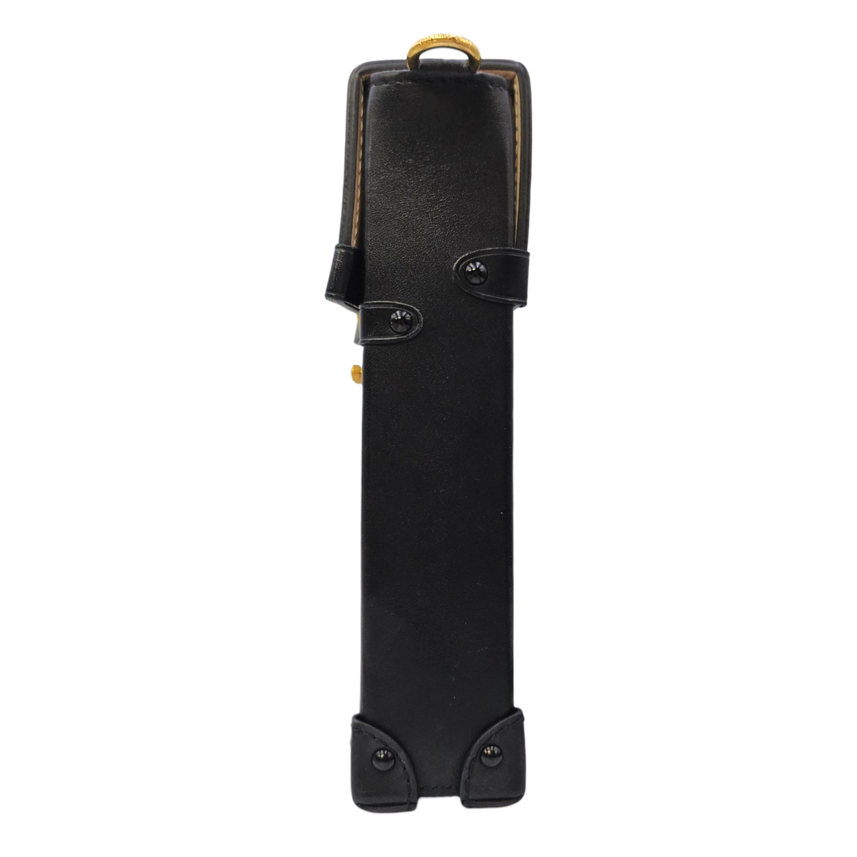 Vertical Trunk  Brown Crossbody Bag in Monogram Coated Canvas Gold hardware