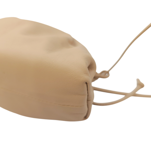 The Pouch  Mini Beige Crossbody Bag in Calfskin Gold hardware