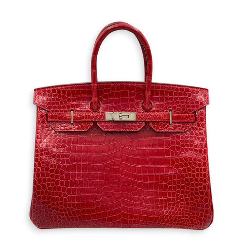 Birkin 35 Braise in Shiny Porosus Palladium hardware