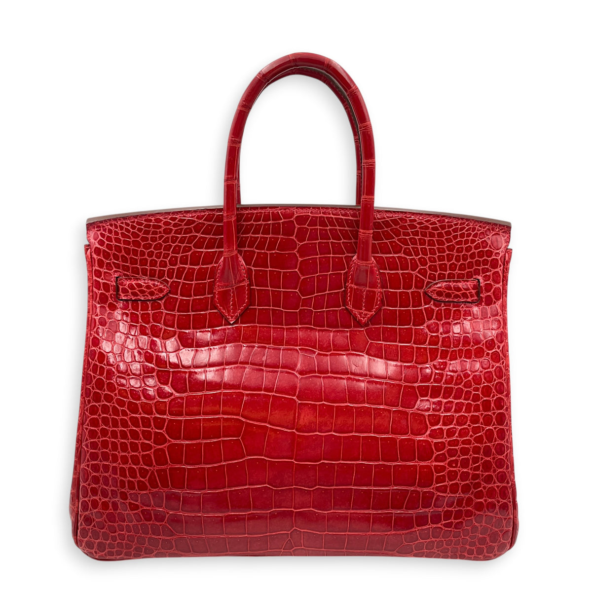 Birkin 35 Braise in Shiny Porosus Palladium hardware