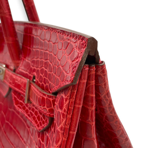 Birkin 35 Braise in Shiny Porosus Palladium hardware