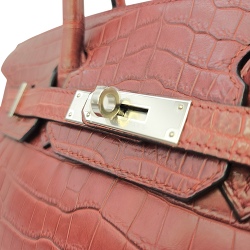 Birkin 30 Rouge H  in Matte Niloticus Palladium hardware
