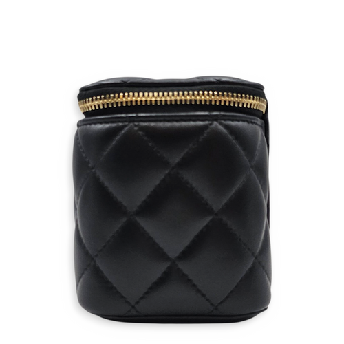Vanity Case Black Crossbody Bag in Lambskin Light Gold hardware