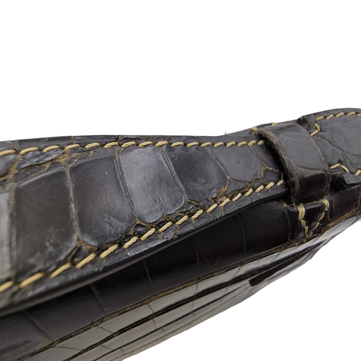 Kelly Pochette Graphite in Shiny Niloticus Palladium hardware
