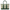 Neo Garden  23 Vert Moyen/Ecru-Vert Moyen  in Negonda/Toile Palladium hardware