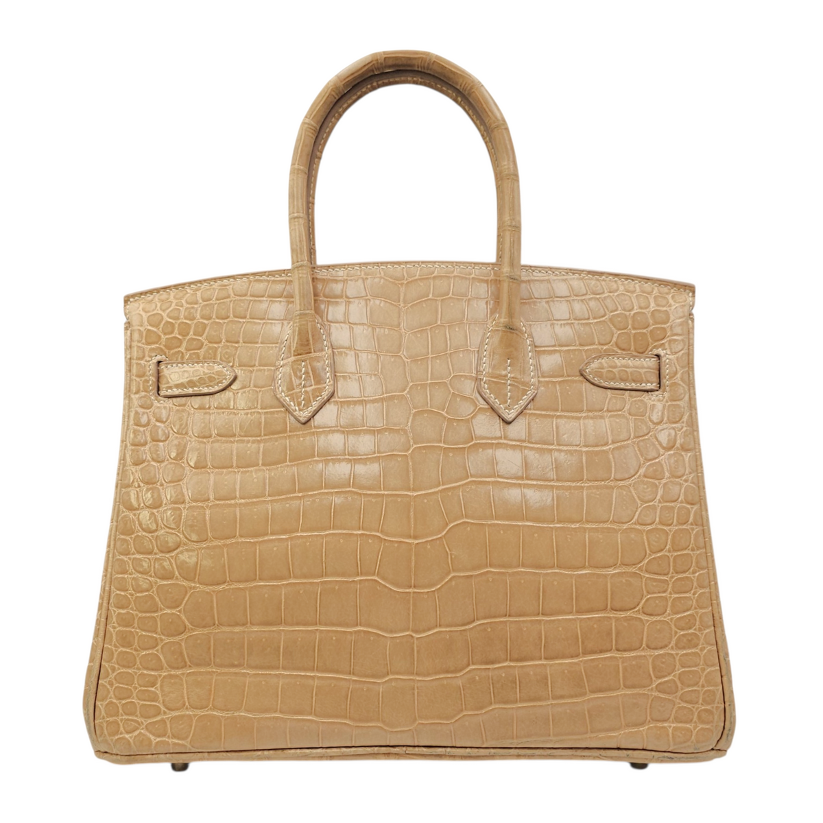 Birkin 30 Poussiere in Shiny Porosus Palladium hardware