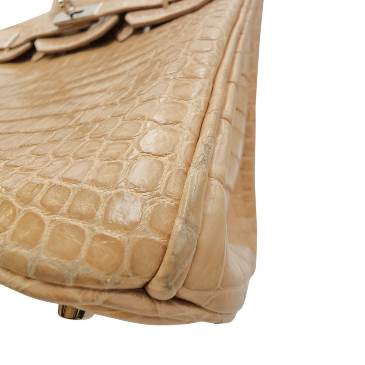 Birkin 30 Poussiere in Shiny Porosus Palladium hardware