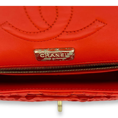 Classic Double Flap  Medium Shoulder bag in Python leather, Gold Hardware