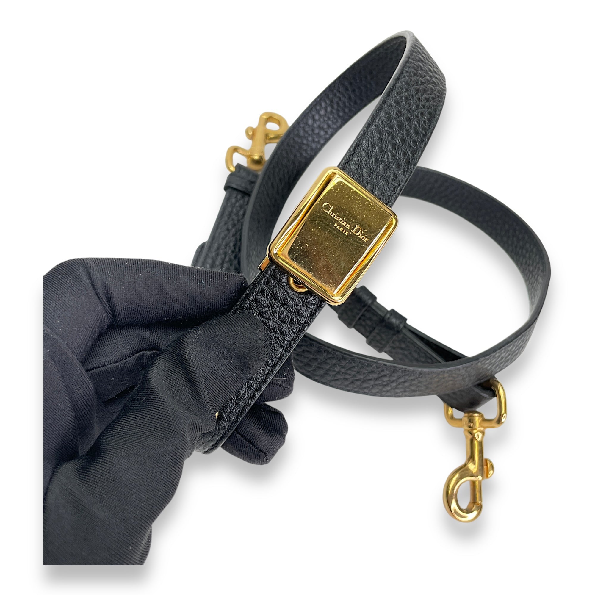 Christian Dior Bobby Crossbody Bag in Calfskin Gold hardware