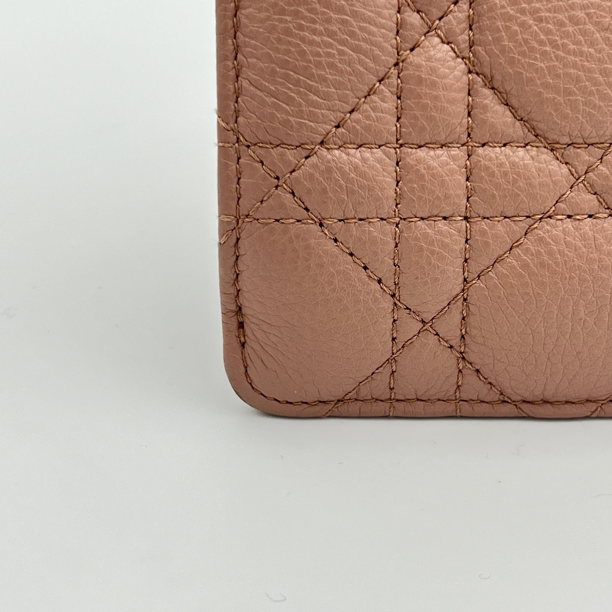 Caro Phone Holder Pouch in Calfskin, Gold Hardware