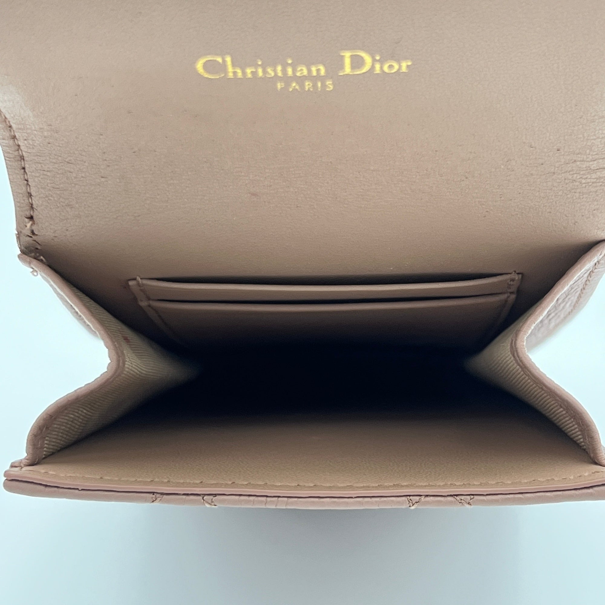 Caro Phone Holder Pouch in Calfskin, Gold Hardware