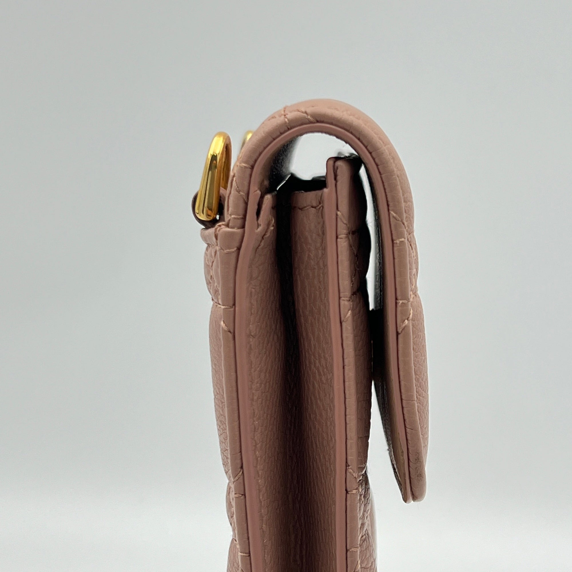 Caro Phone Holder Pouch in Calfskin, Gold Hardware