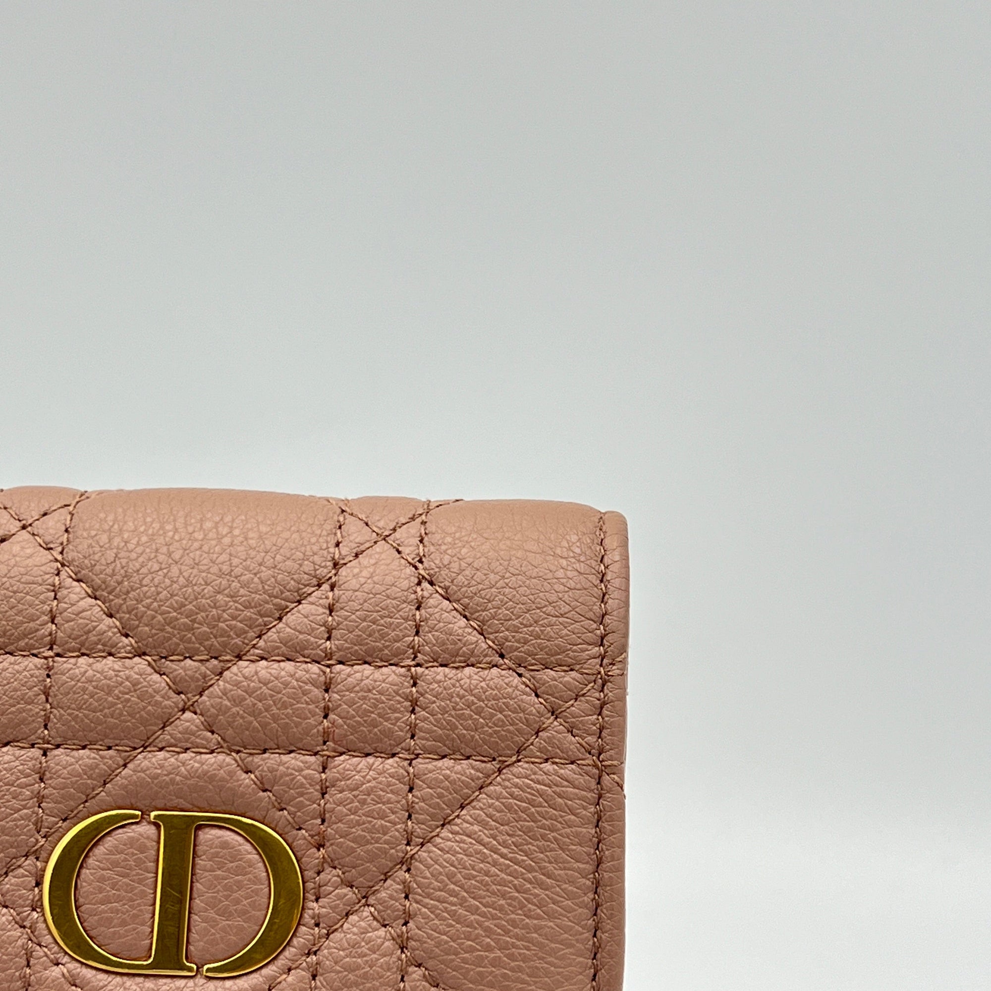 Caro Phone Holder Pouch in Calfskin, Gold Hardware