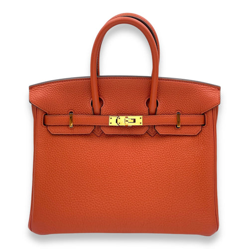 Birkin 25 Terre Battue in Togo Gold hardware C110496 1