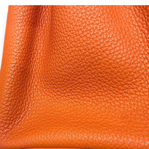 Birkin 25 Terre Battue in Togo Gold hardware C110496 7