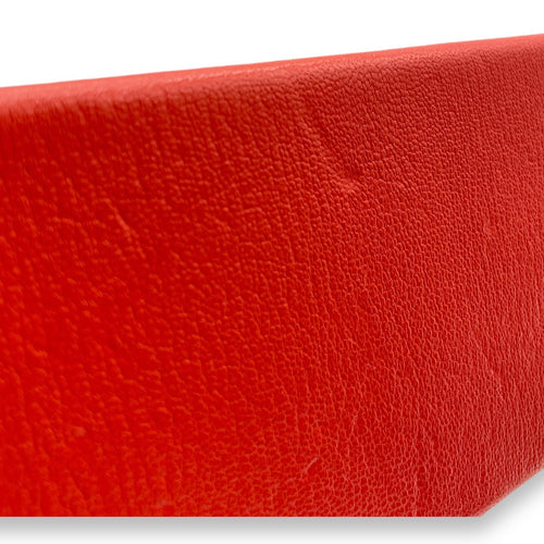 Cinhetic Capucine in Chevre Leather Palladium hardware C102574 4