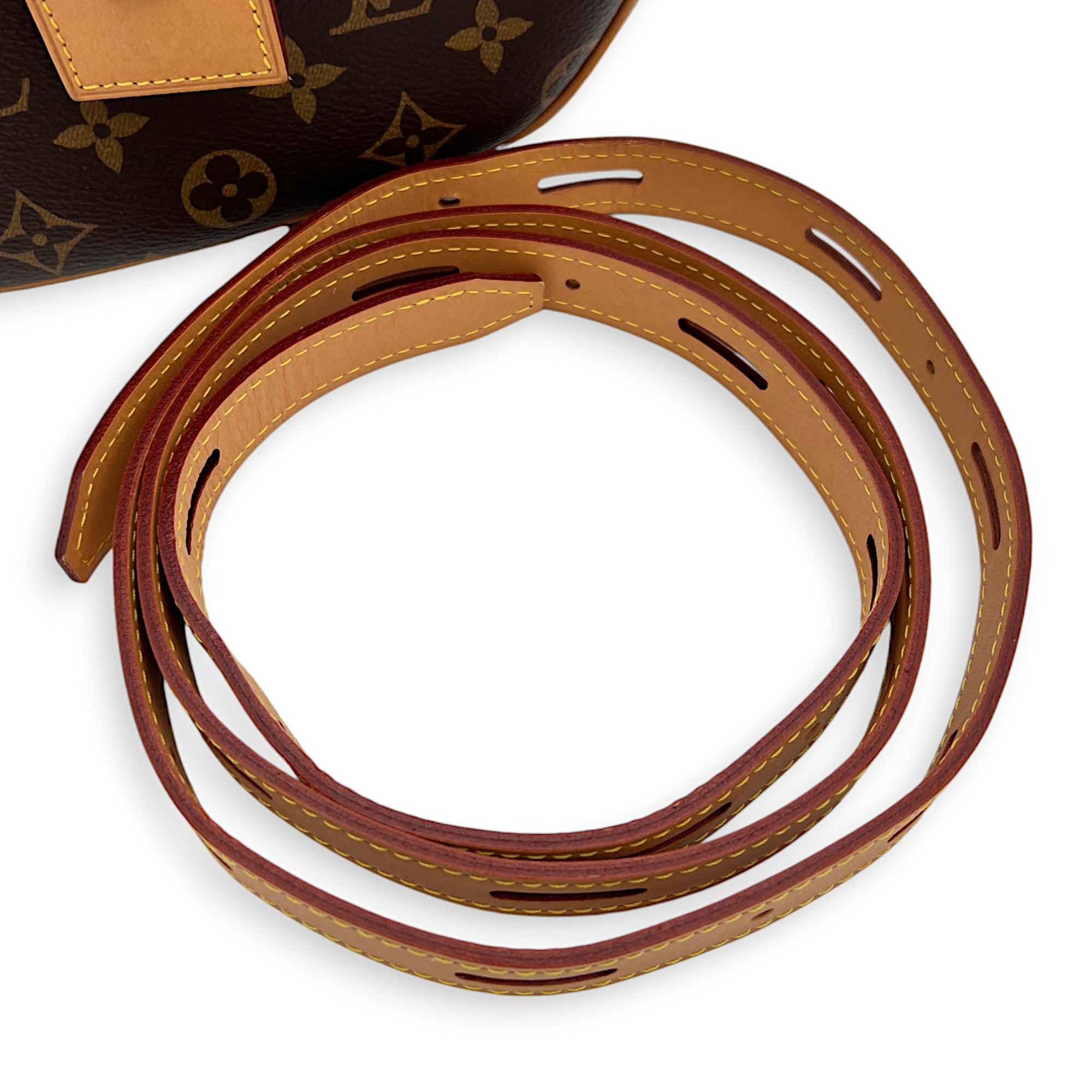 Louis Vuitton Boite a Chapeau Crossbody Bag MM Brown in Monogram Coated Canvas , Gold Hardware_12