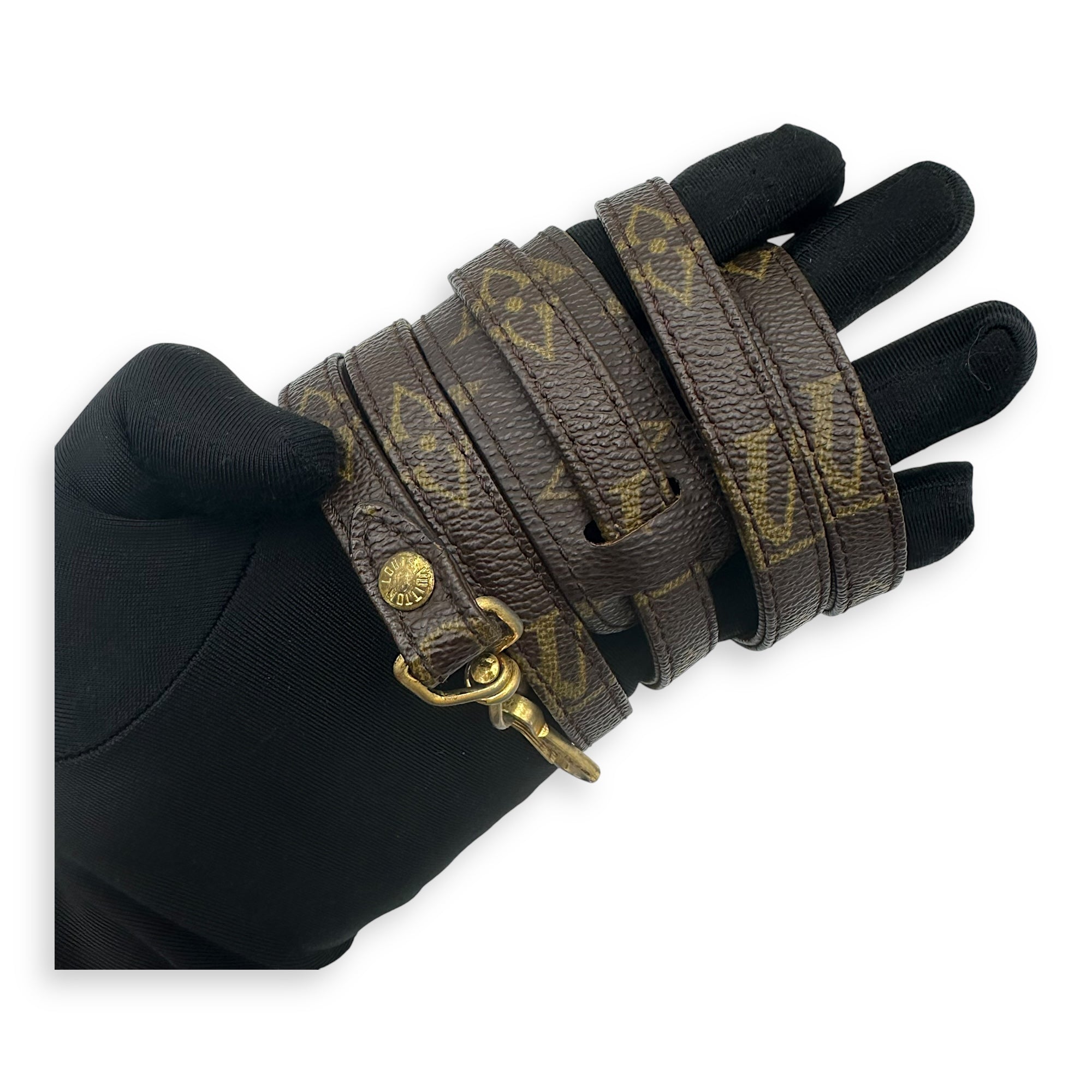 Louis Vuitton Speedy Top Handle Bag Brown in Monogram Coated Canvas, Gold hardware_16
