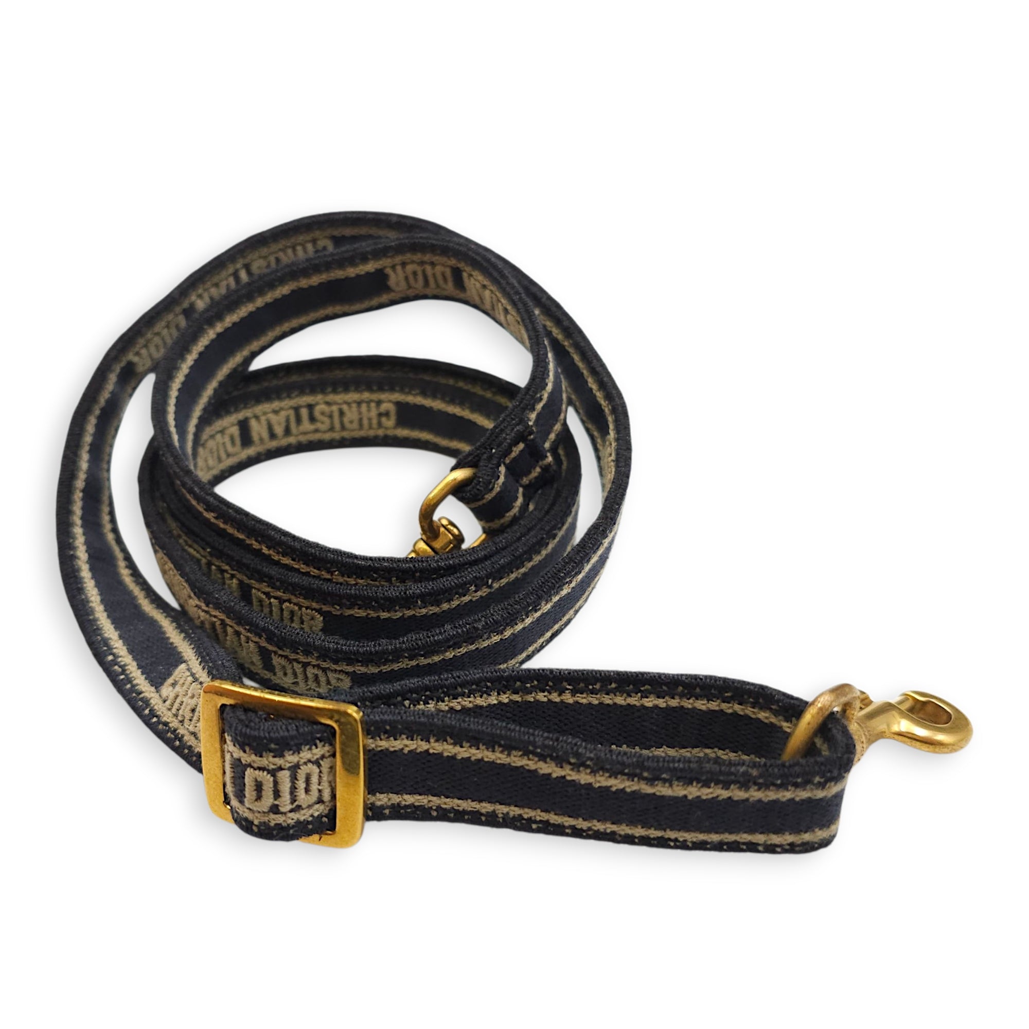 Book Tote Mini Blue Oblique Crossbody Bag in Canvas, Gold hardware