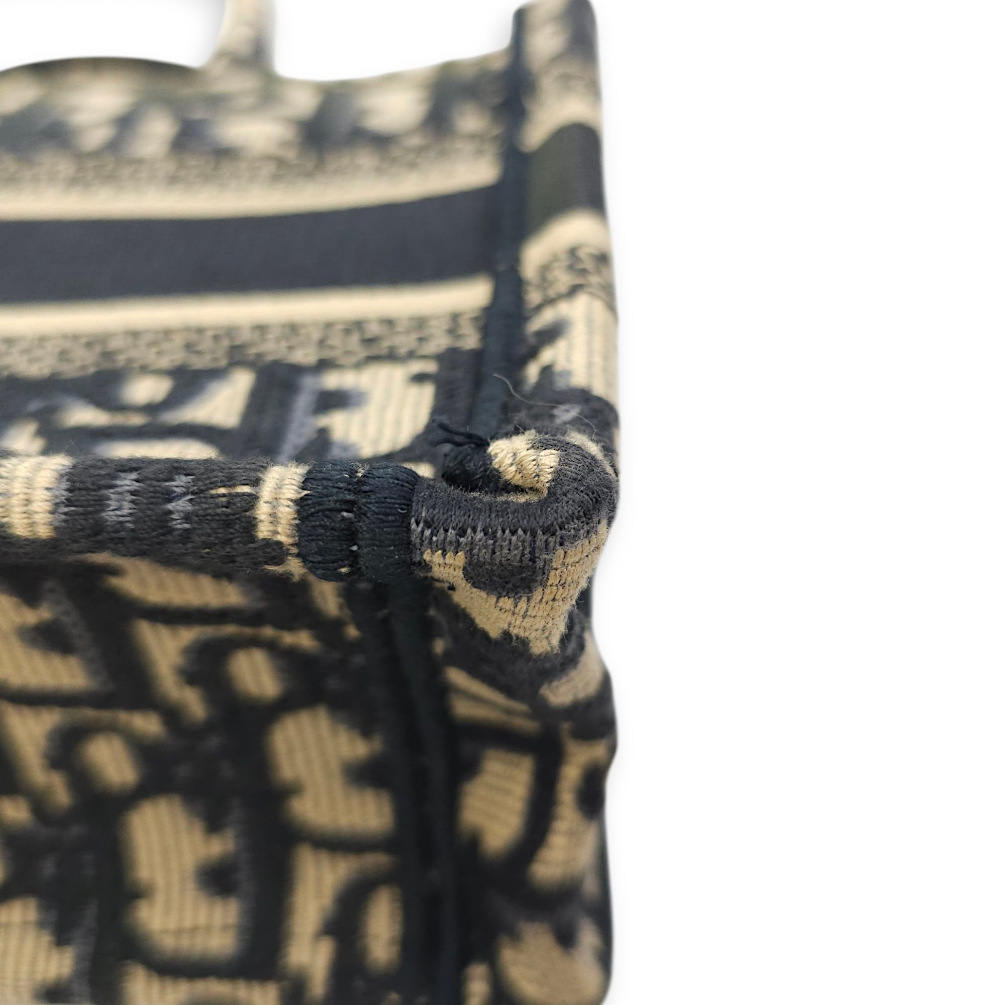 Book Tote Mini Blue Oblique Crossbody Bag in Canvas, Gold hardware