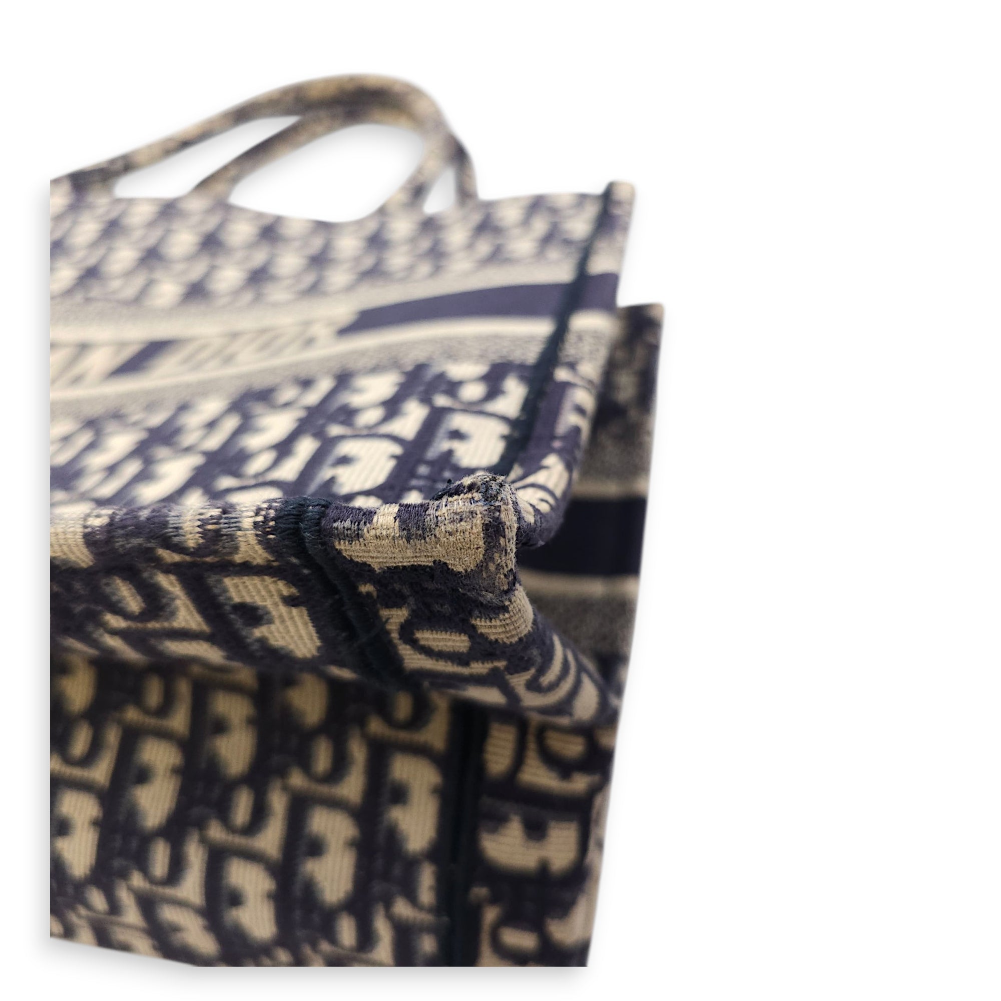 Book Medium Blue Oblique Tote Bag in Canvas