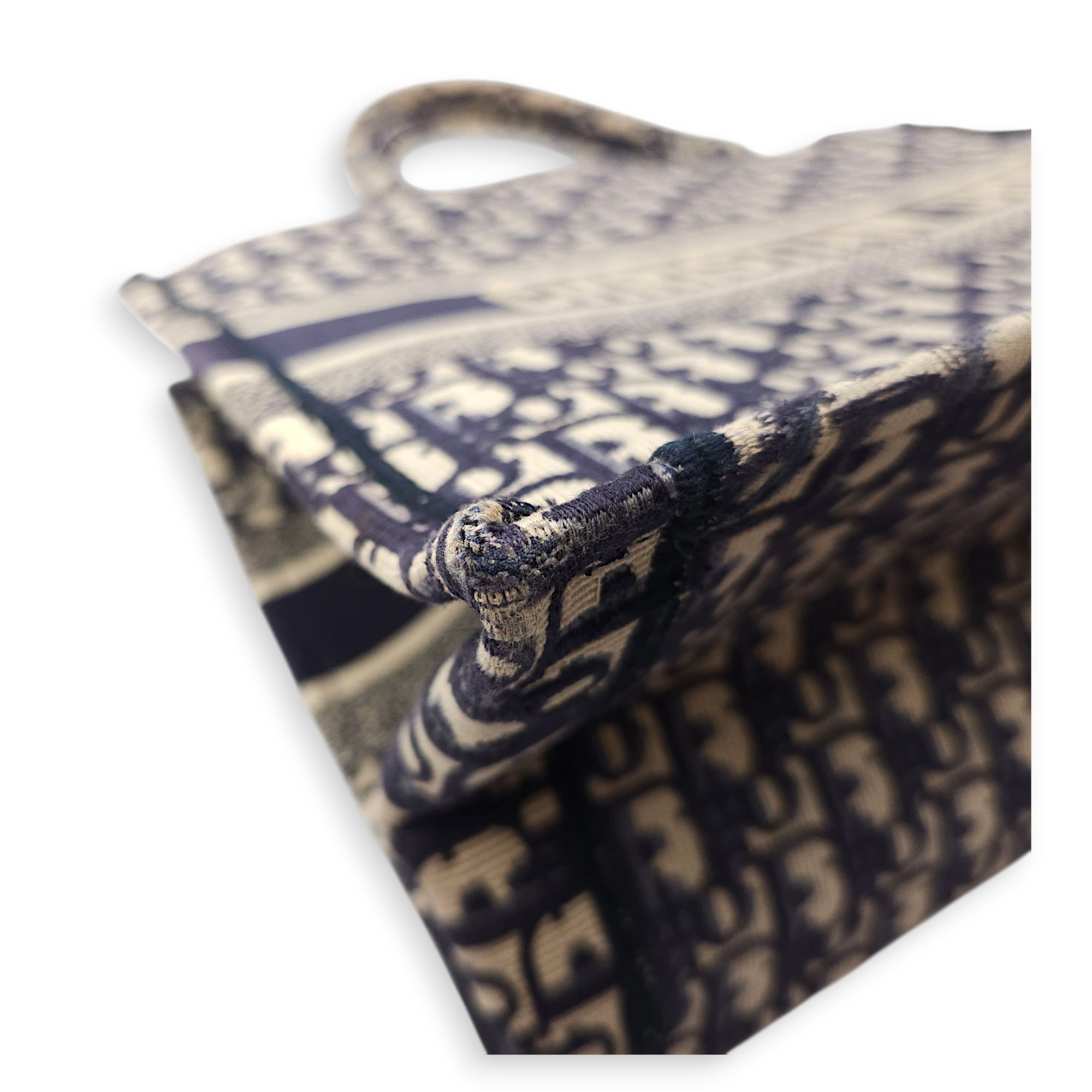 Book Medium Blue Oblique Tote Bag in Canvas