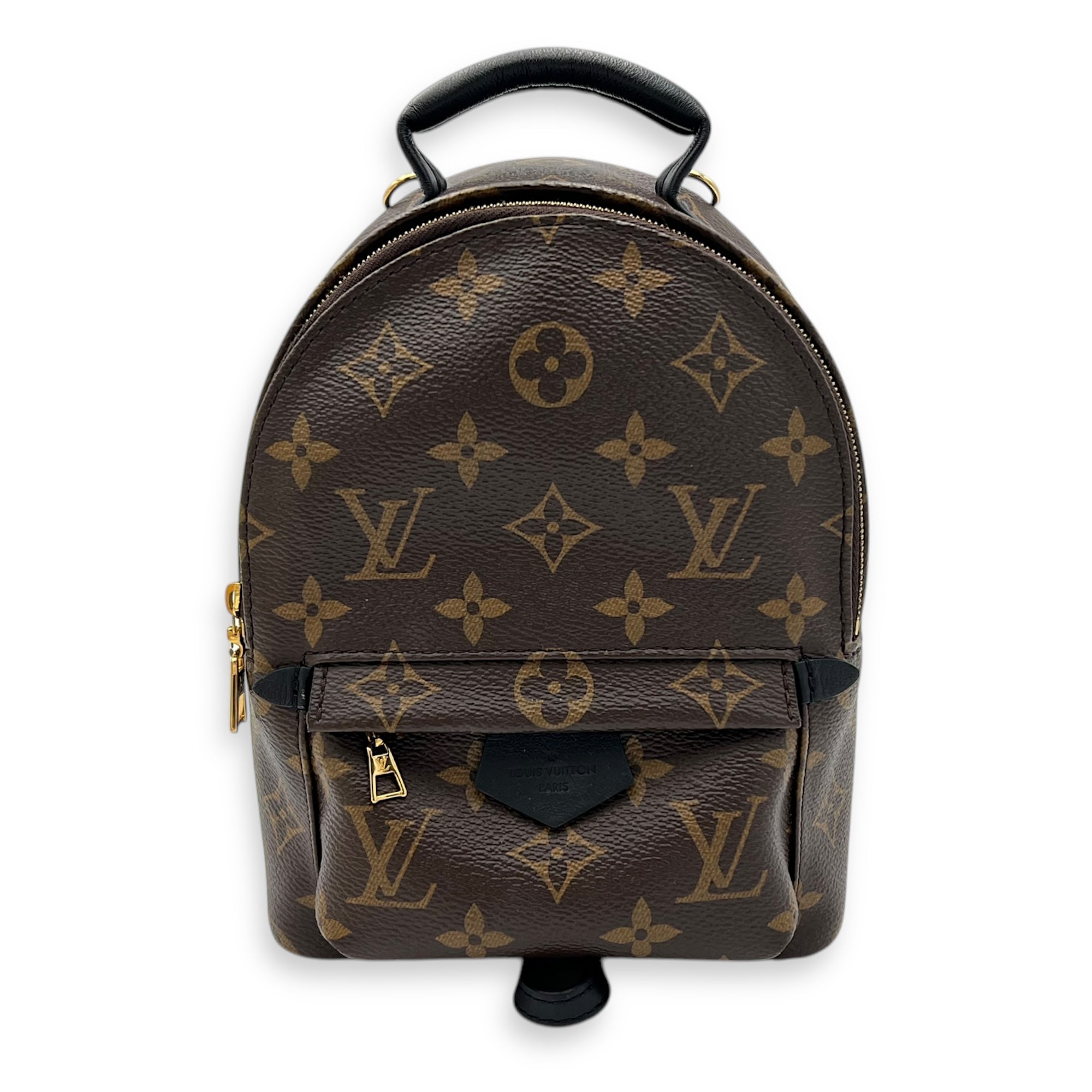 Louis Vuitton Palm Springs Backpack Brown in Monogram Coated Canvas, Gold hardware_1