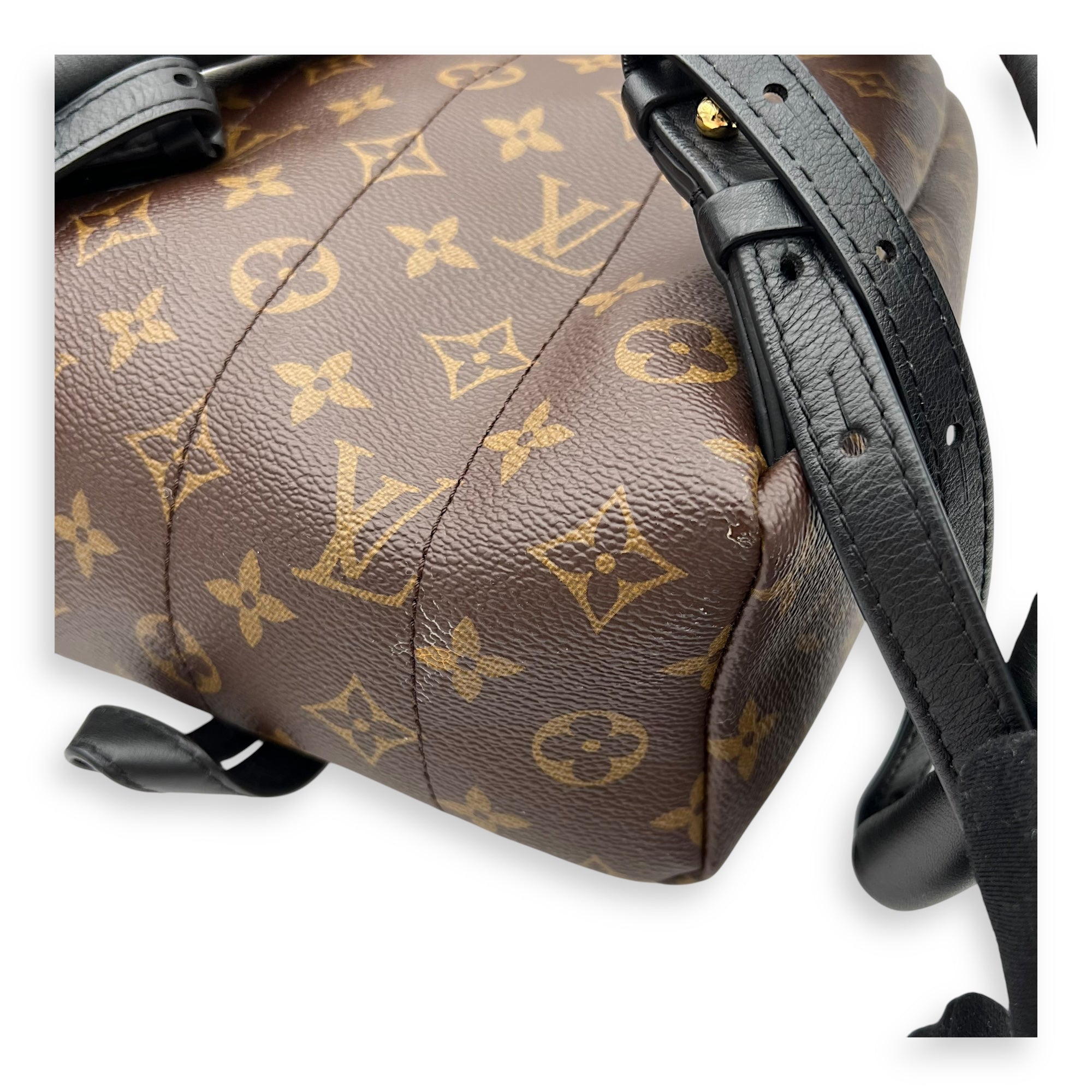 Louis Vuitton Palm Springs Backpack Brown in Monogram Coated Canvas, Gold hardware_11