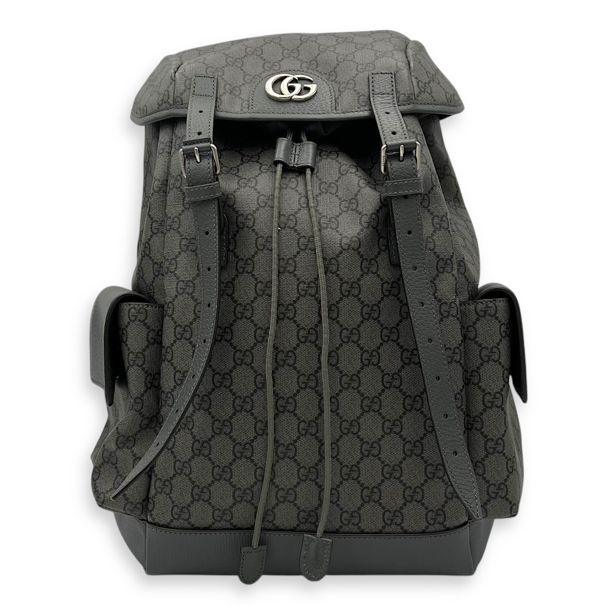 Gucci GG Backpack Grey in Coated Canvas, Gold hardware_1