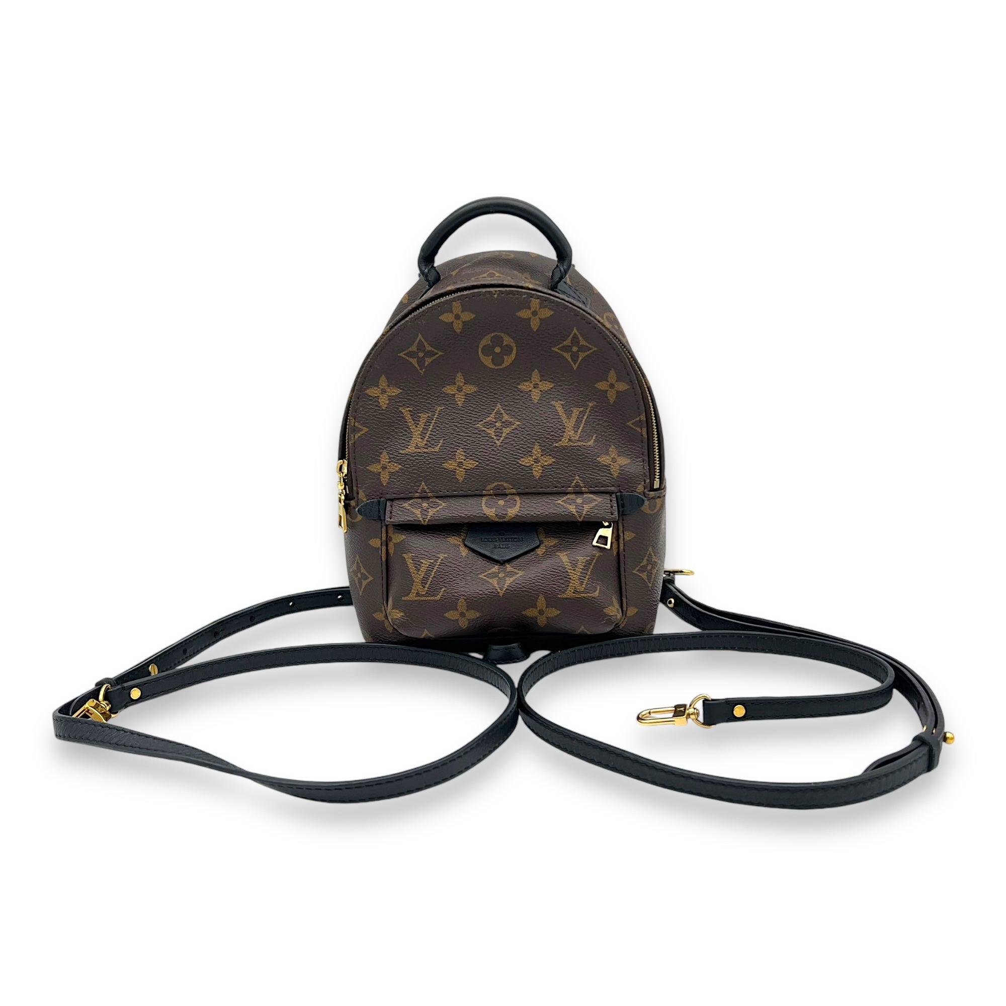 Palm Springs Mini Brown Backpack in Monogram Coated Canvas, Gold hardware