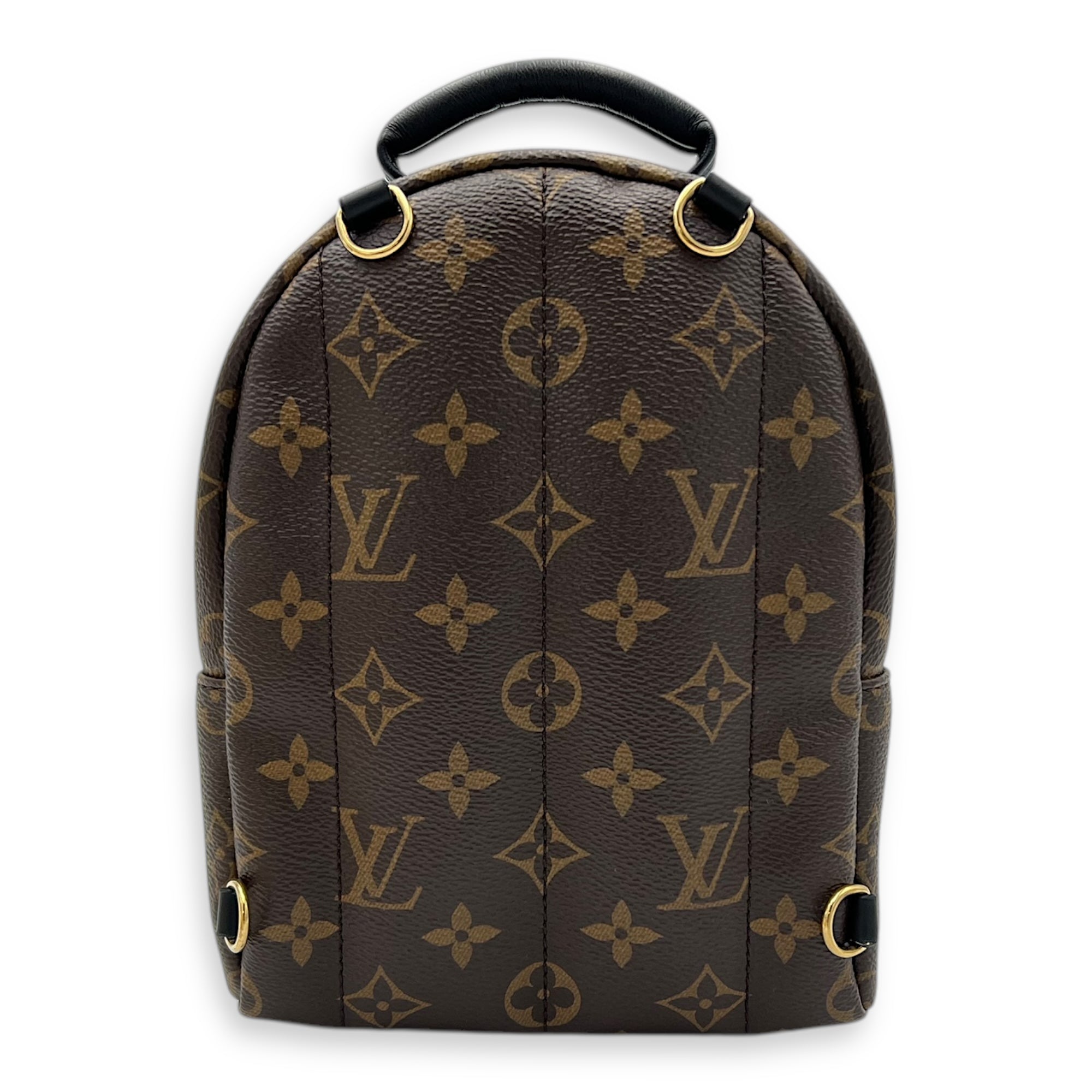 Louis Vuitton Palm Springs Backpack Brown in Monogram Coated Canvas, Gold hardware_2