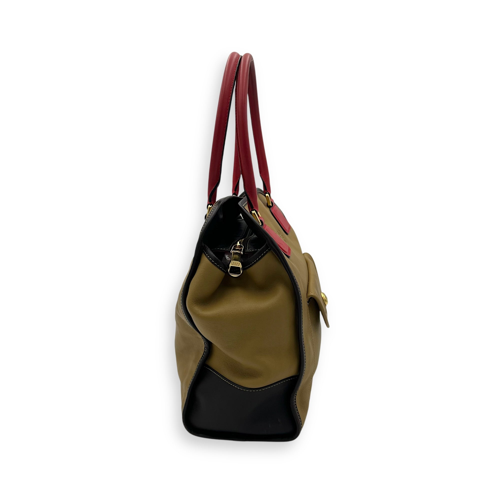 Loewe Amazona Top Handle Bag Beige in Calfskin, Gold hardware_4