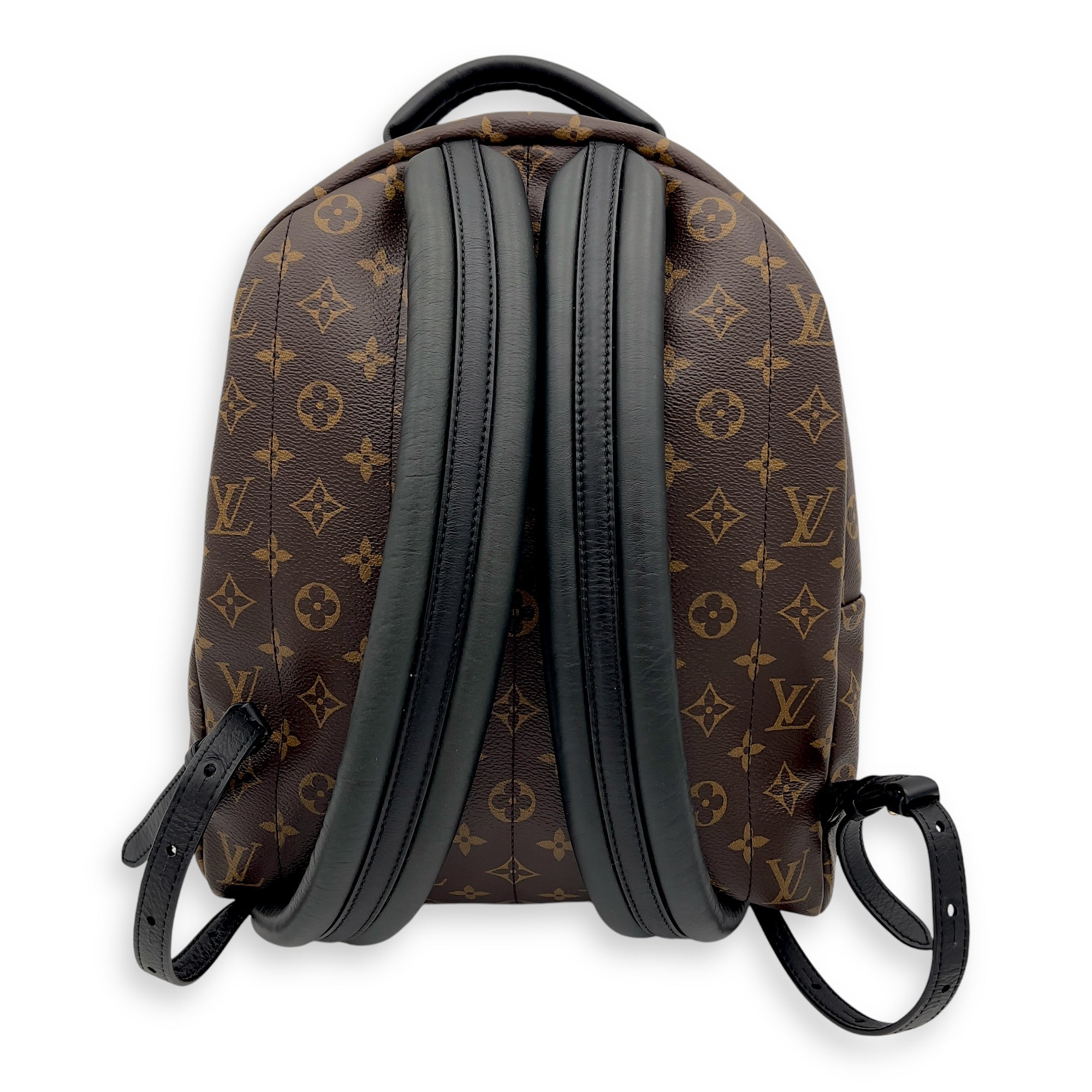 Louis Vuitton Palm Springs Backpack MM Brown in Coated Canvas, Gold hardware_2