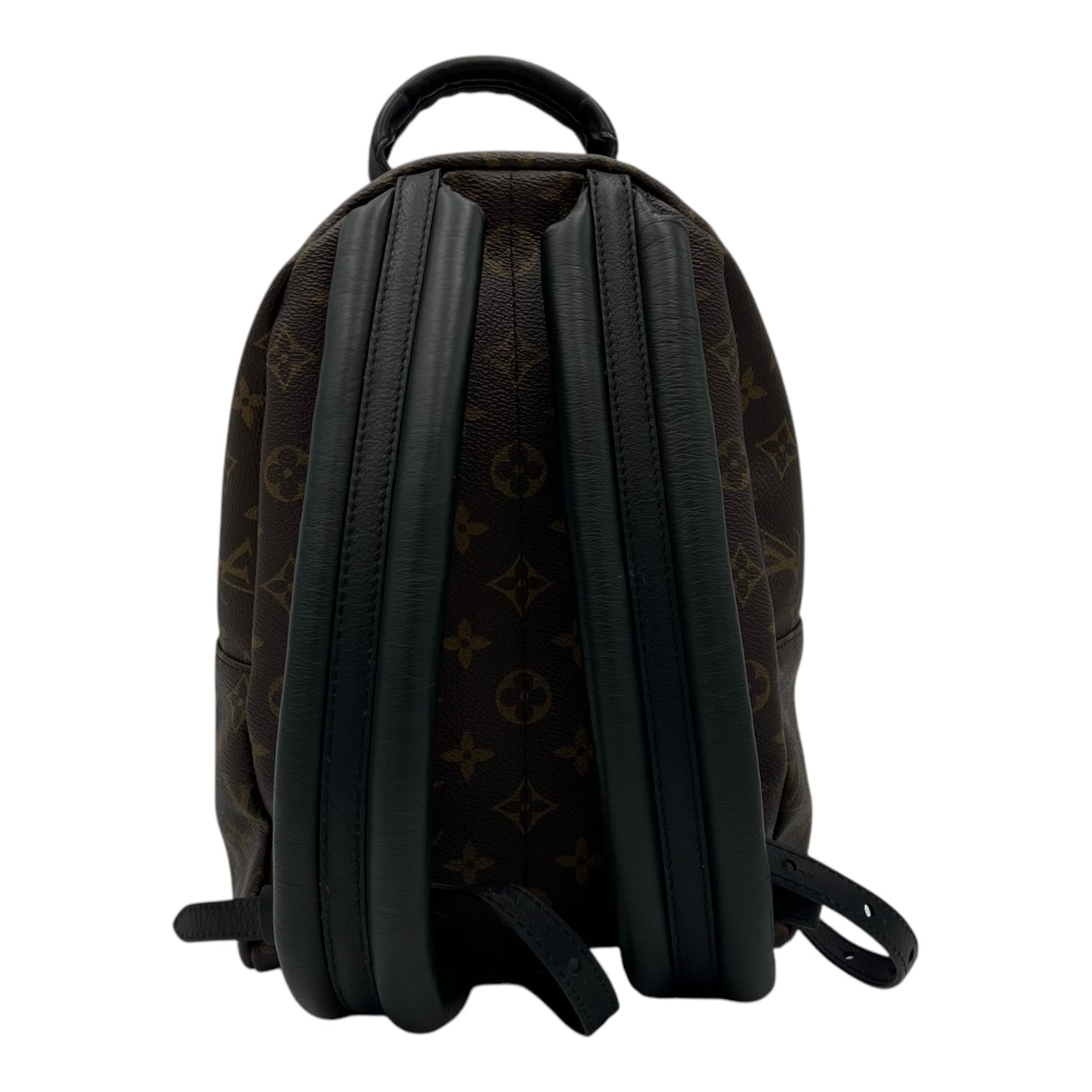 Louis Vuitton Palm Springs Backpack PM Brown in Monogram Coated Canvas, Gold hardware_2