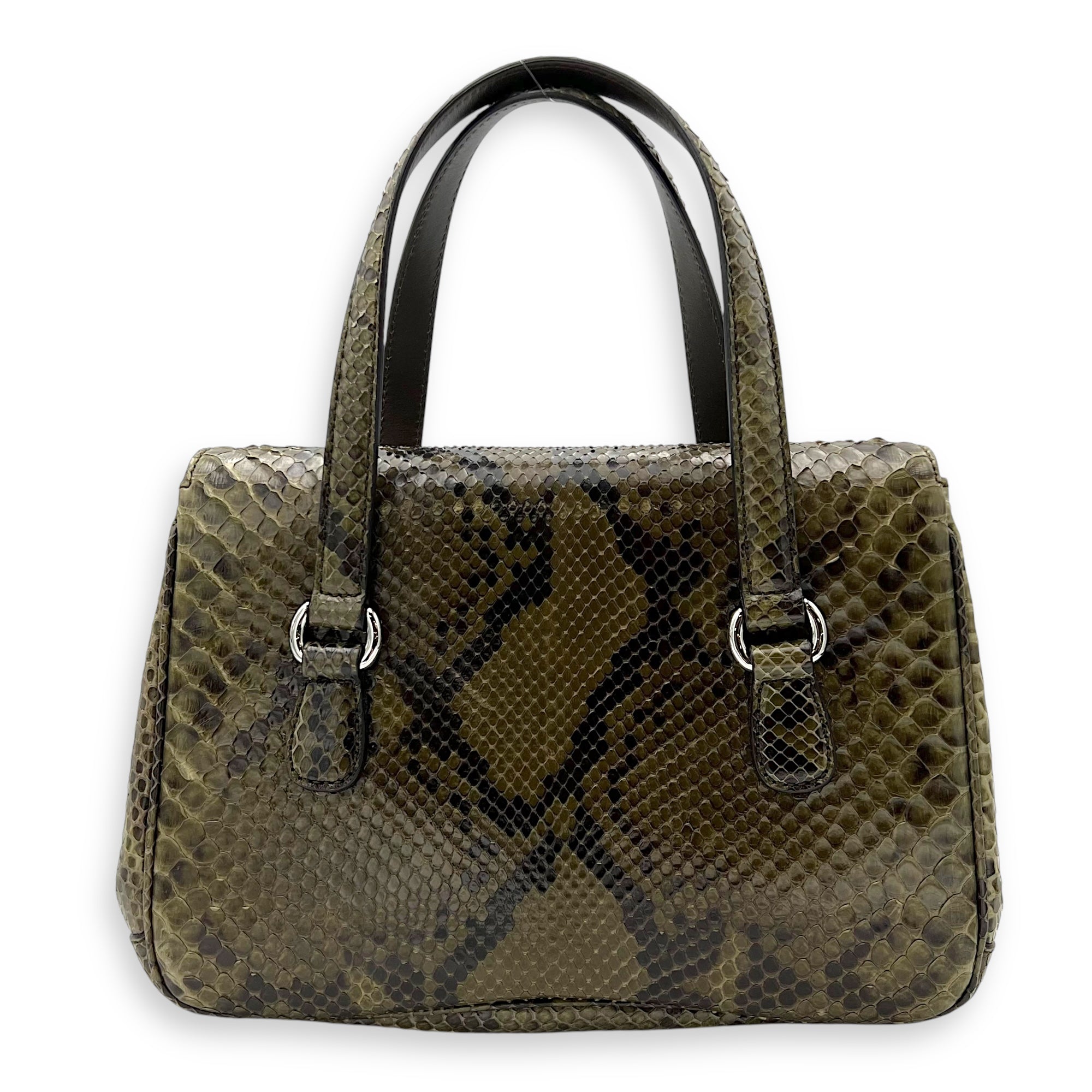 Gucci Flap Top Handle Bag Green in Python Leather, Silver hardware_2